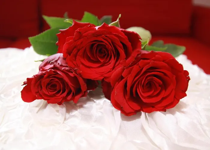 Апартаменты Apart Anna